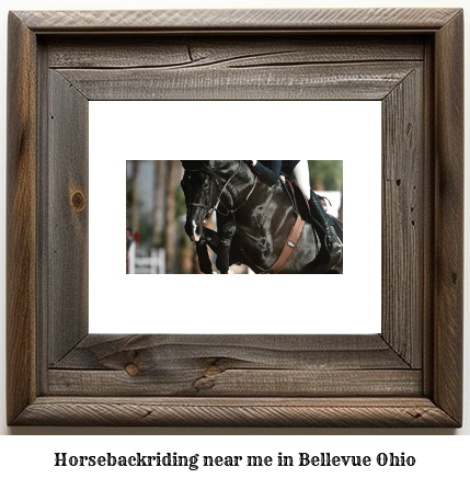 horseback riding near me in Bellevue, Ohio